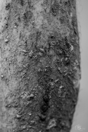 KluisbergTrail20268801