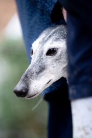 KluisbergTrail20268803